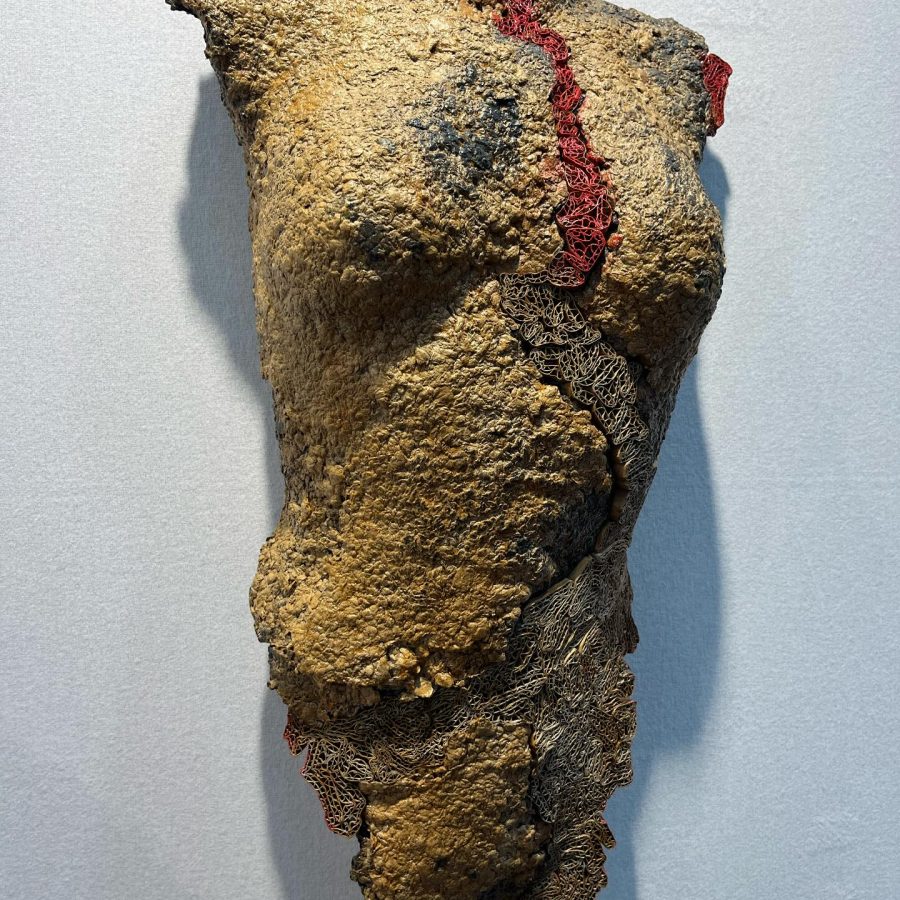 Buste Vulcania Buste Vulcania